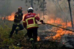 Incendio Forestal